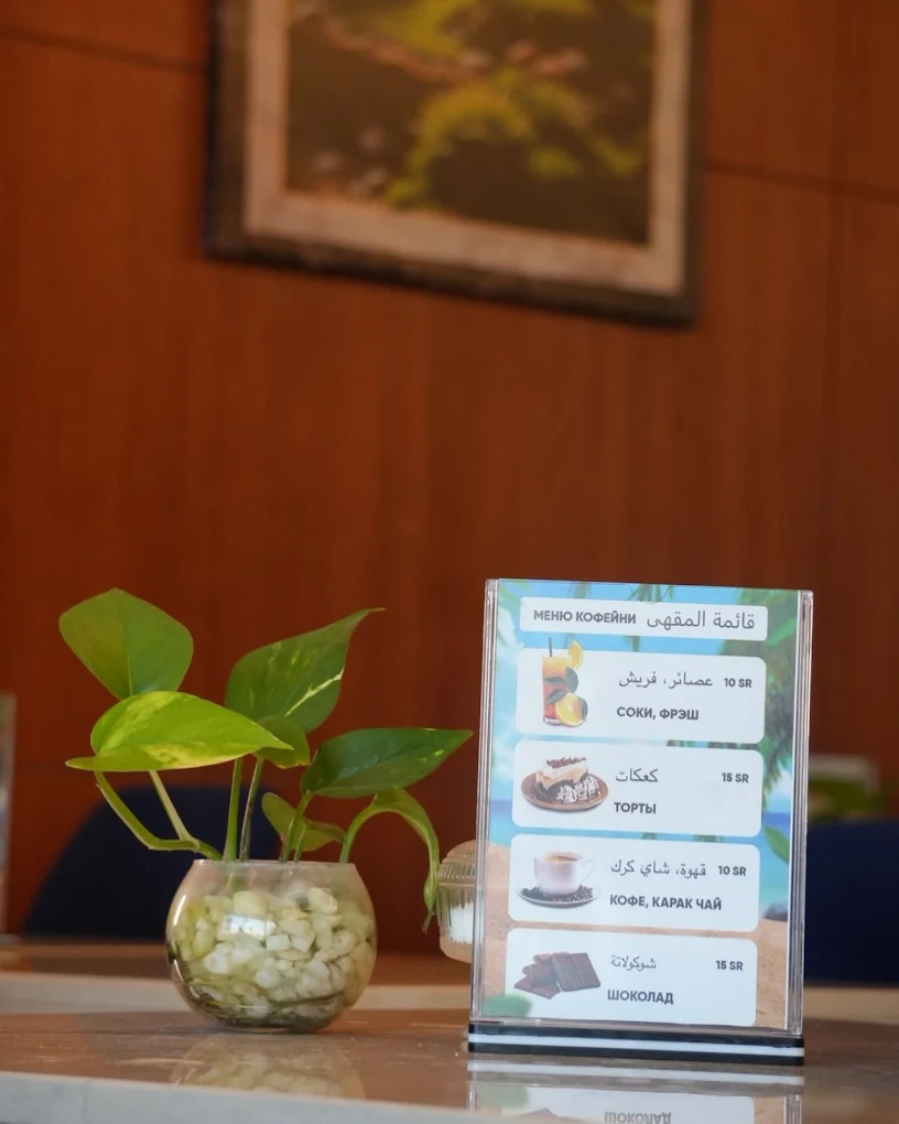 Safa Park Experience